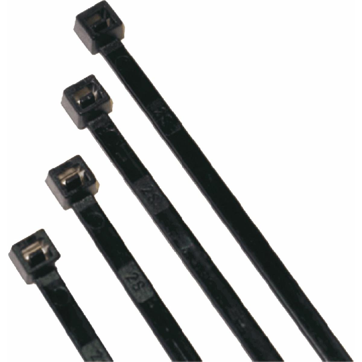 8032270209021 - Schwarze Nylonbänder 100x25mm - 100 Stück Packung für Werkstatt