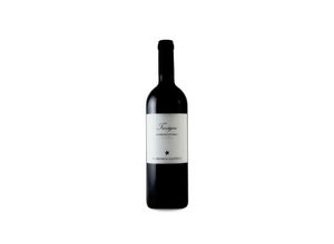 8032535710828 - Domenico Clerico Barbera dAlba Trevigne 2020 - 75cl