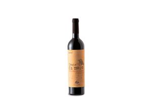 8032692480251 - Cantina Orsogna Lunaria Coste di Moro Montepulciano dAbruzzo 2018 - 75cl