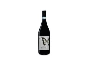 8034108230146 - Azienda Agricola Camparo Camparo Sará DOC Barbera dAlba Rossso 2020 - 75cl