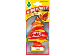 8034136500204 - Ferramenta1com - 24 x arbre magique double mango und papaya