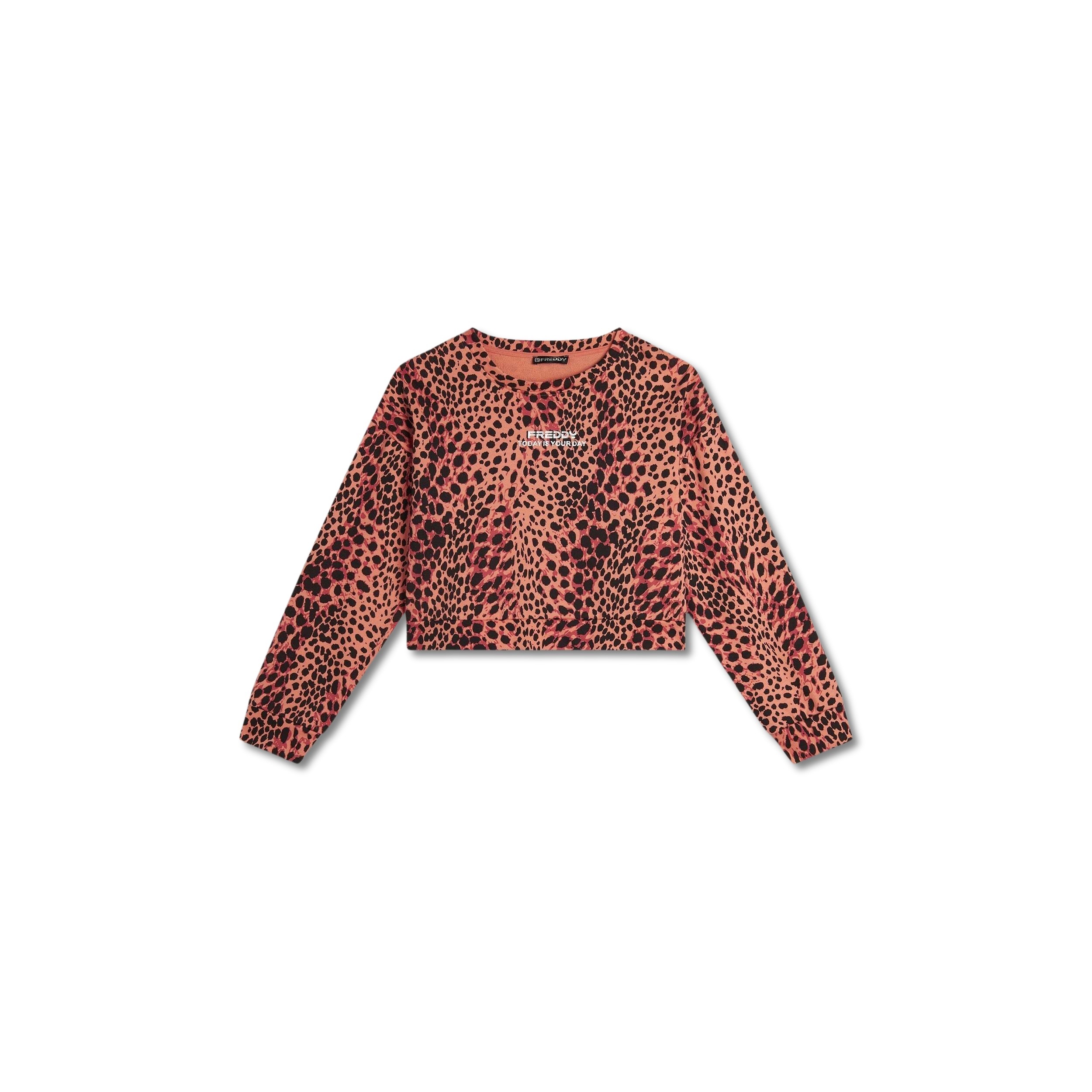 8034170117352 - Kurze French Terry Sweatshirt für Frauen Freddy