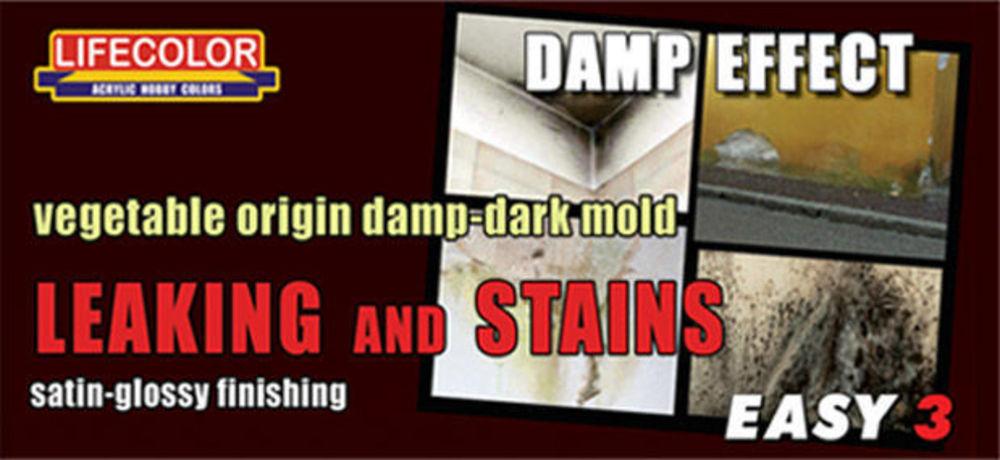 8052478352121 - Leaking and stains vegetable origin damp