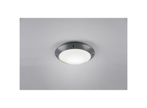 8055303624844 - Iperbriko - Außen-Deckenleuchte Camaro Anthrazit IP54 Ø26 cm Trio Lighting