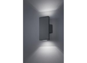 8055303833949 - Iperbriko - Biemission Wandleuchte für den Außenbereich Colorado Led IP54 Anthrazit Trio Beleuchtung