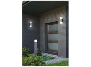 8055303835738 - Iperbriko - Hudson Aluminium Double Light LED-Außenwandleuchte von Trio Lighting