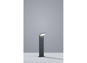 8055303882466 - Iperbriko - Pearl Led Outdoor Poller IP54 Anthrazit H50 cm Trio Beleuchtung Bewegungssensor