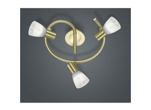 8055303886761 - Iperbriko - Deckenleuchte 3 verstellbare Glasspots Windrad Levisto Brass Trio Lighting