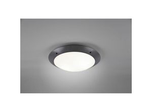 8055303887188 - Iperbriko - Außen-Deckenleuchte Camaro Anthrazit IP54 Ø33 cm Trio Lighting