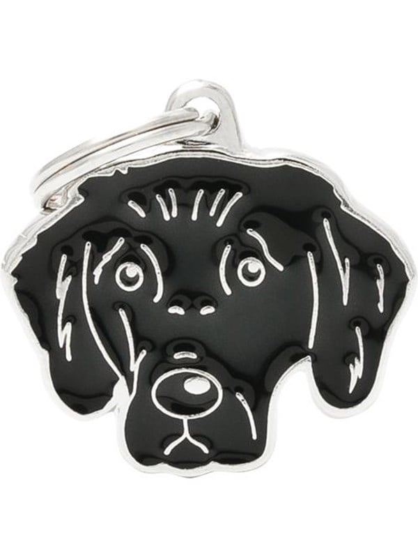 8055960251070 - Flat Coated Retriever Dog Tag