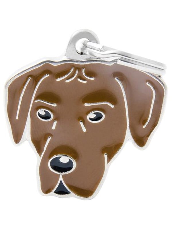 8055960254699 - Rhodesian Ridgeback Dog Tag