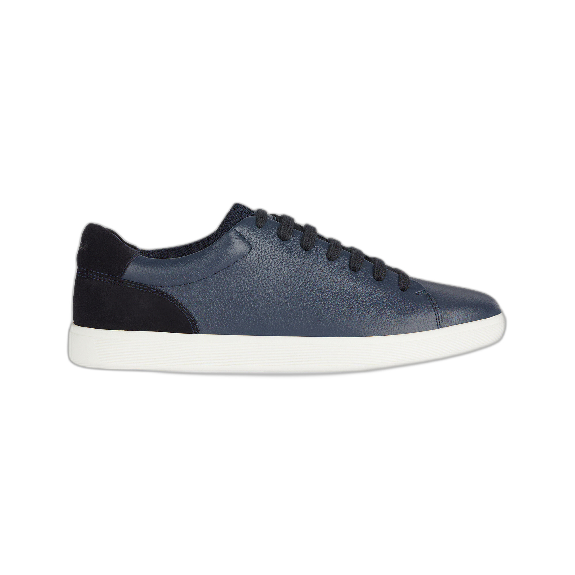 8056206580787 - Sneakers Avola