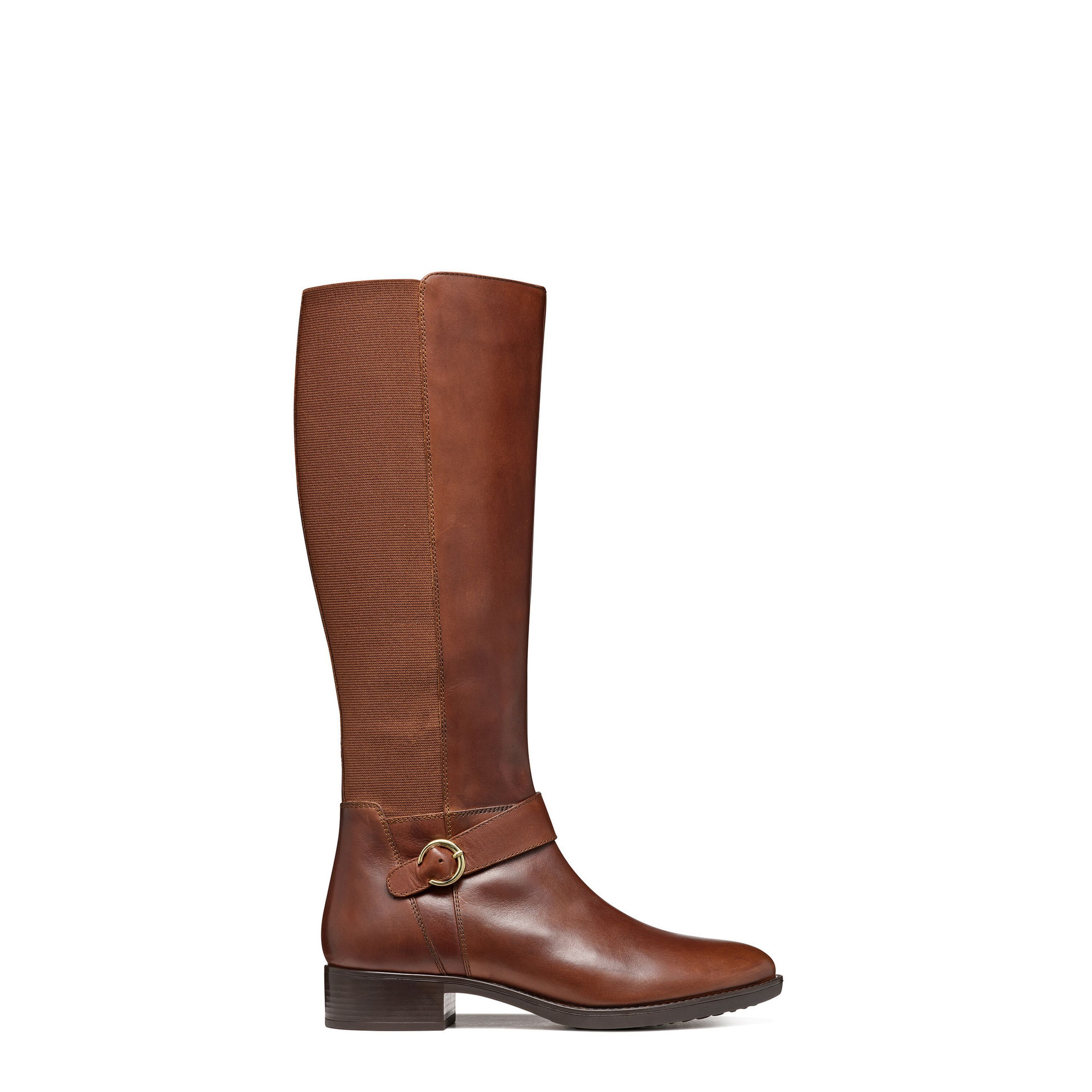 8056206950498 - Stiefel Damen Felicity 8056206950498 - Stiefel Damen Felicity