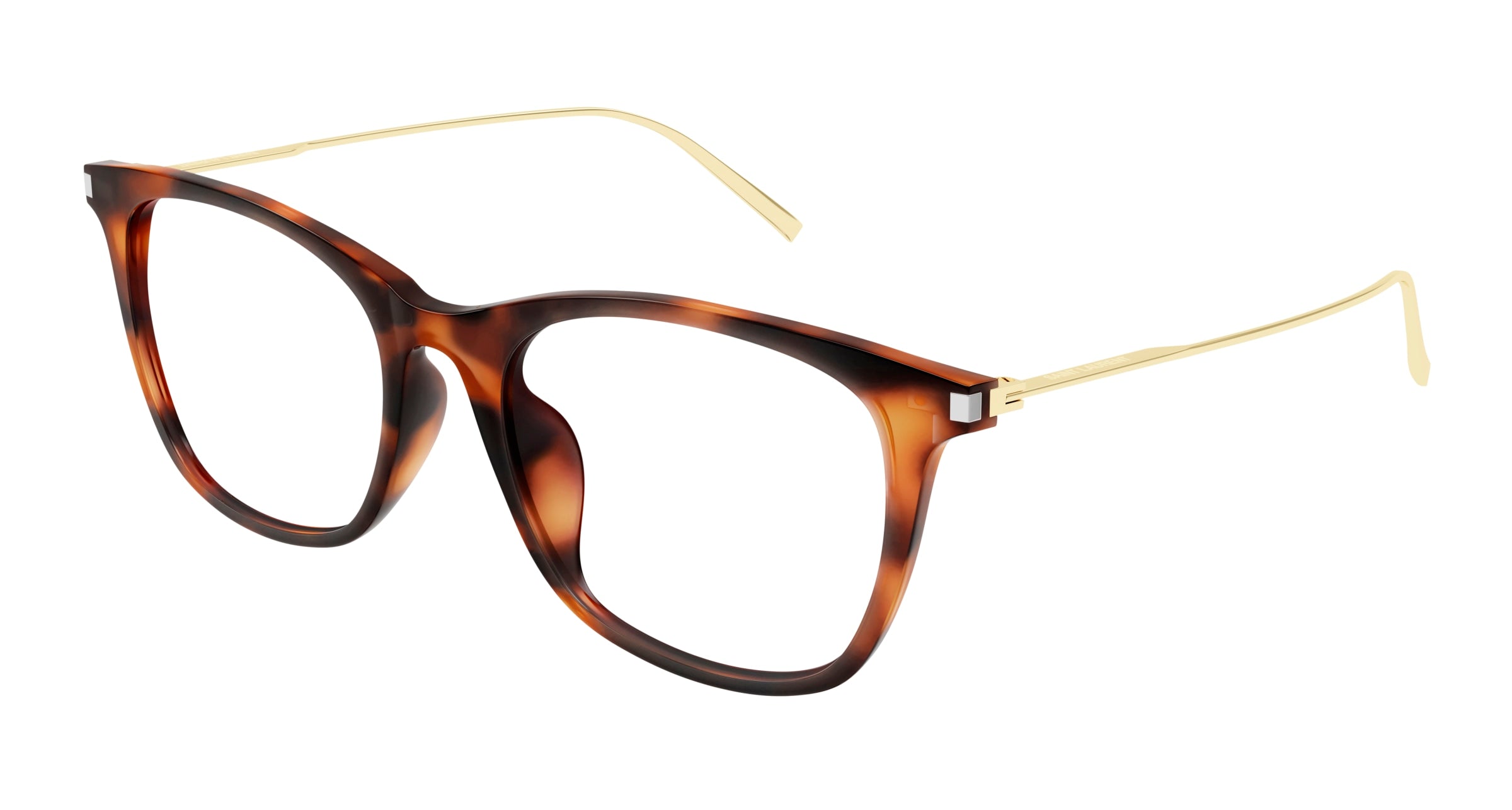 8056376442625 - Unisex SL 580 F 002 Rahmen von BRILLEN Acetat Havanna  Quadratisch