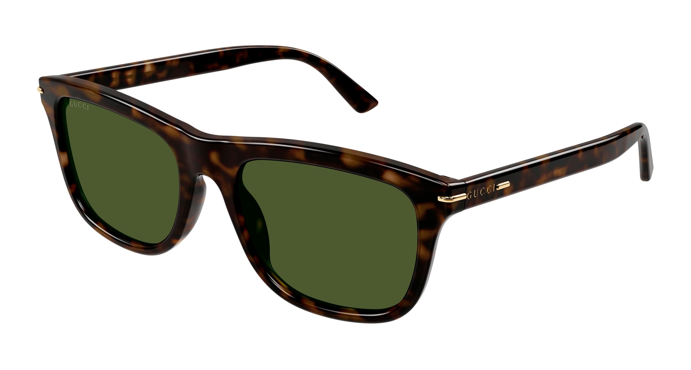 8056376459227 - Herren GG1444S 002 Gläser SONNENBRILLEN Acetat Havanna Grün Quadratisch Normal