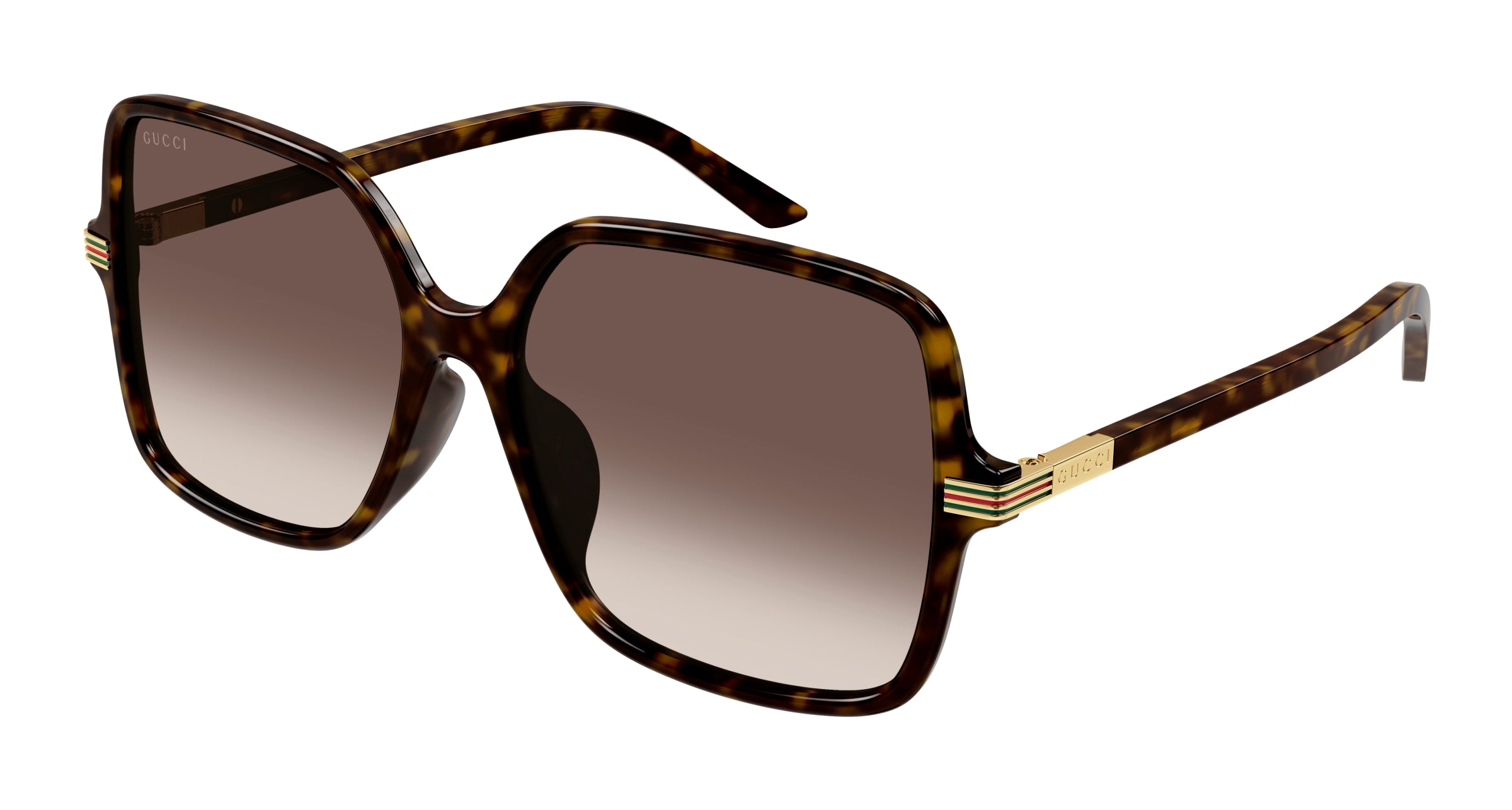 8056376462074 - Damen GG1448SA 002 Gläser SONNENBRILLEN Acetat Havanna Braun Quadratisch Normal Schattiert