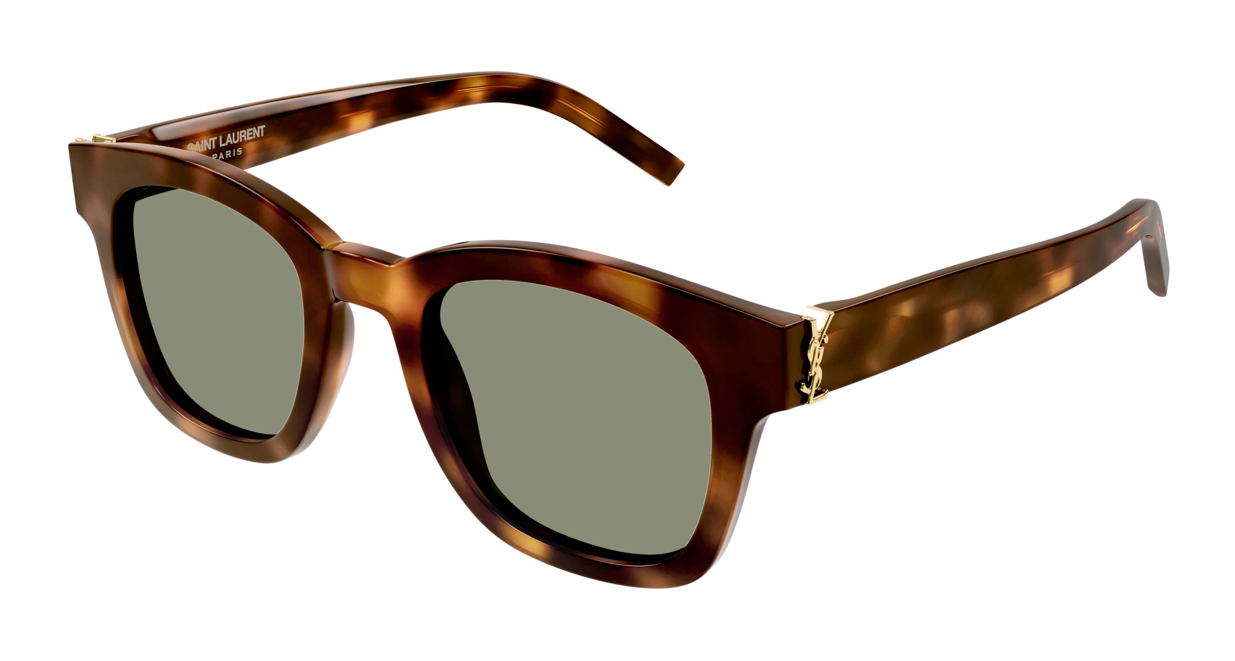 8056376467123 - Unisex SL M124 002 Gläser SONNENBRILLEN Acetat Havanna Grün Quadratisch Normal