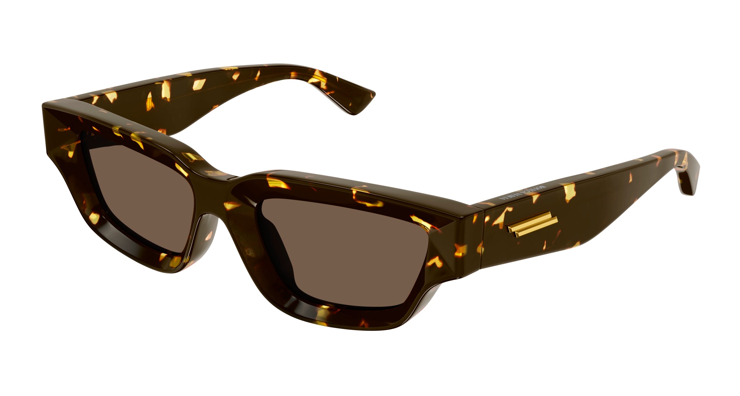 8056376469196 - Unisex BV1250S 002 Gläser SONNENBRILLEN Acetat Havanna Braun Geometrisch Normal