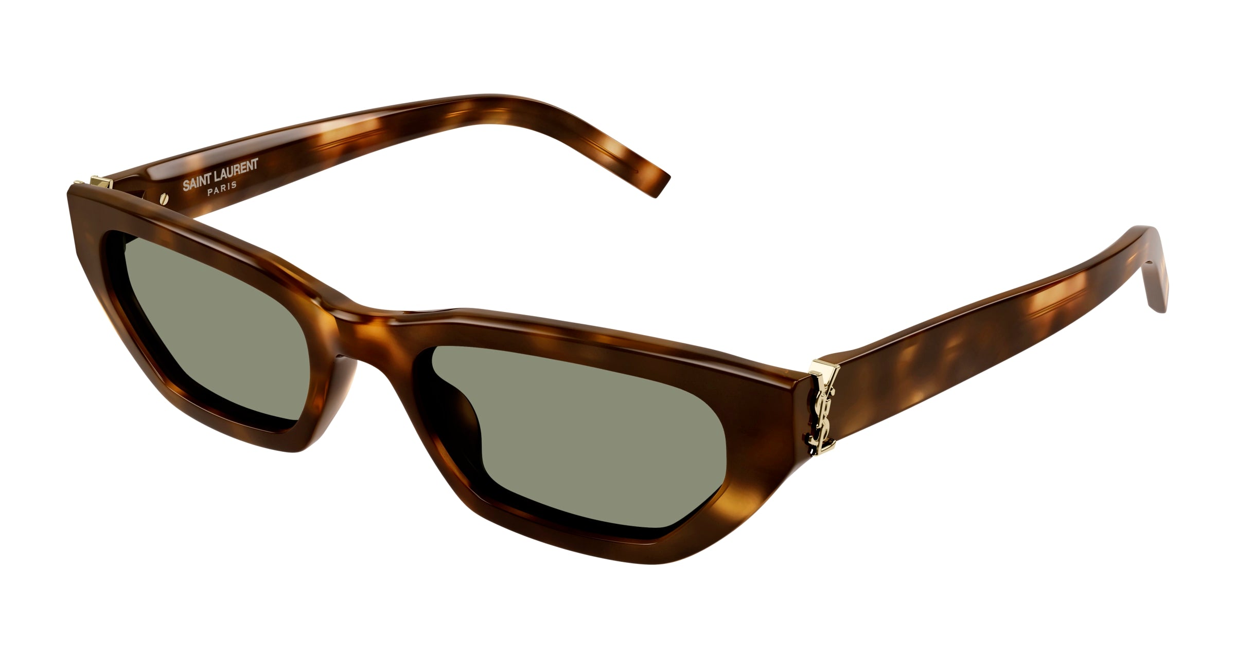 8056376474657 - Unisex SL M126 003 Gläser SONNENBRILLEN Acetat Havanna Grün Quadratisch Normal