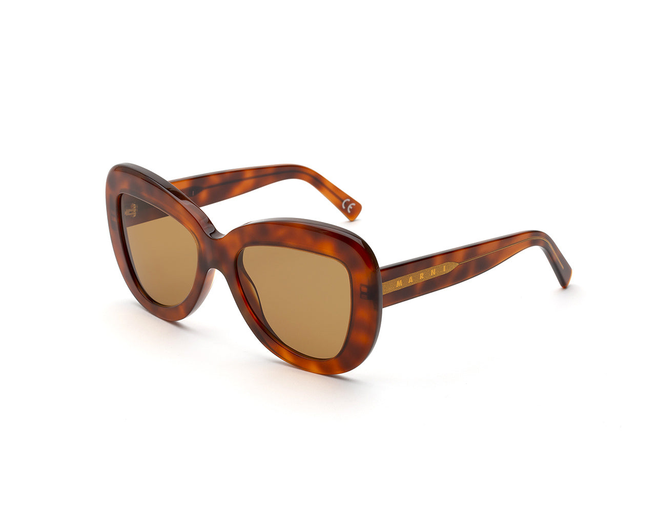 8056421105758 - Unisex Elephant Island Havanna 5UA Gläser SONNENBRILLEN Acetat Havanna Braun Schmetterling Normal