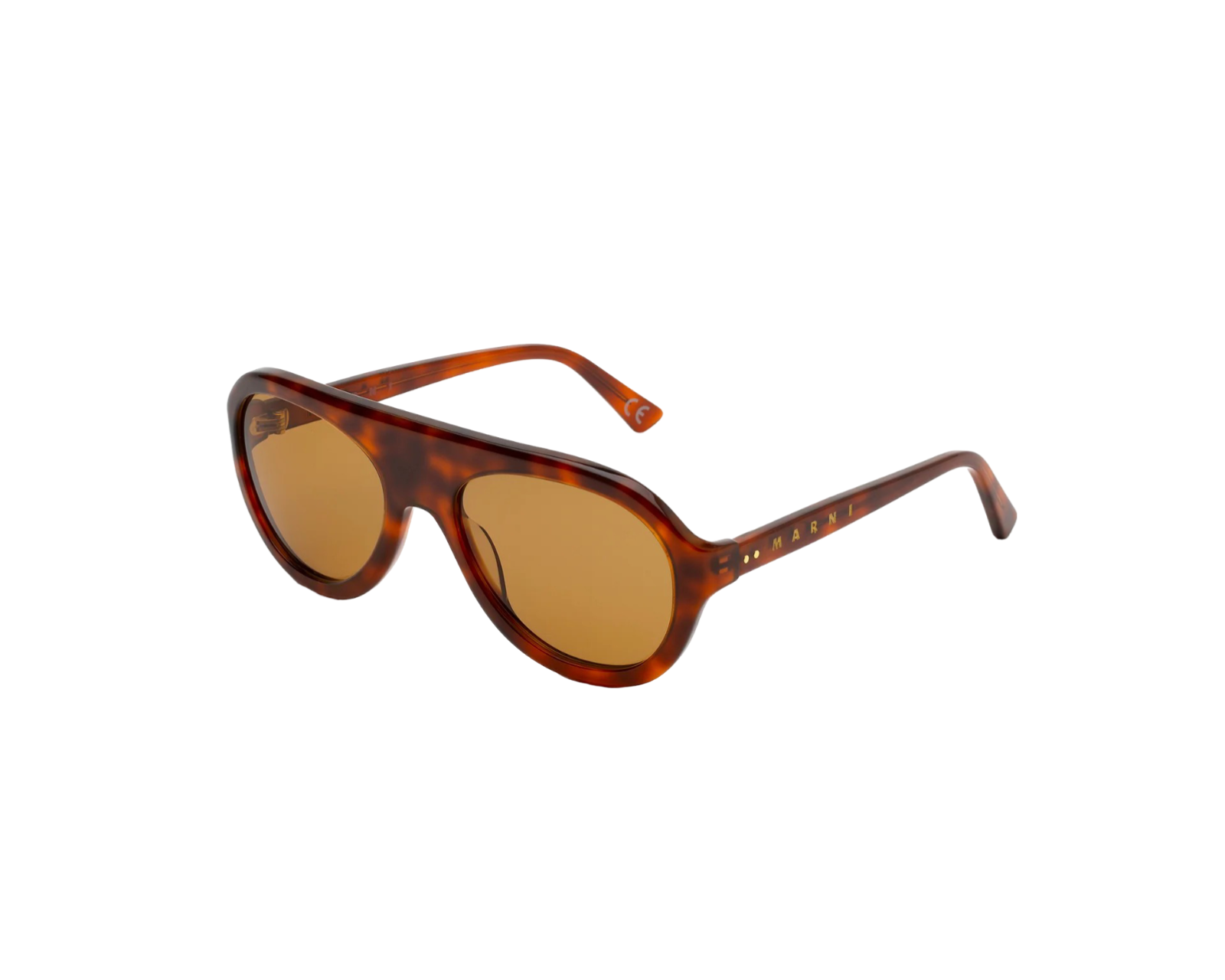 8056421112824 - Unisex Mount Toc Havanna 5MJ Gläser SONNENBRILLEN Acetat Havanna Braun Pilot Normal