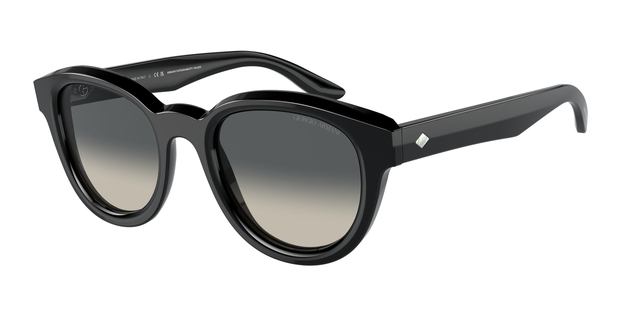 8056597832618 - Damen AR8181 587571 Gläser SONNENBRILLEN Acetat Schwarz Grau Panthos Normal Schattiert