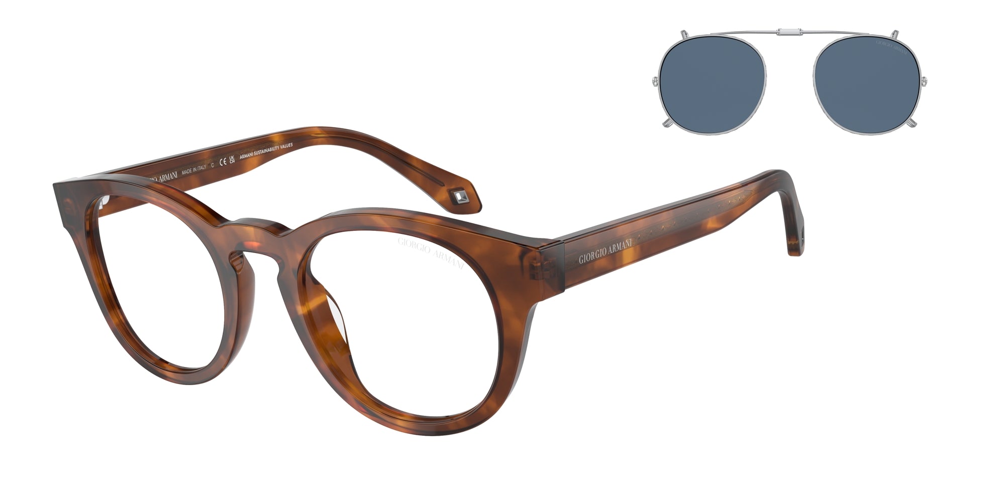 8056597833943 - Herren AR8190U  59881W Gläser SONNENBRILLEN Acetat Schildkröte Transparent Pantos Normal