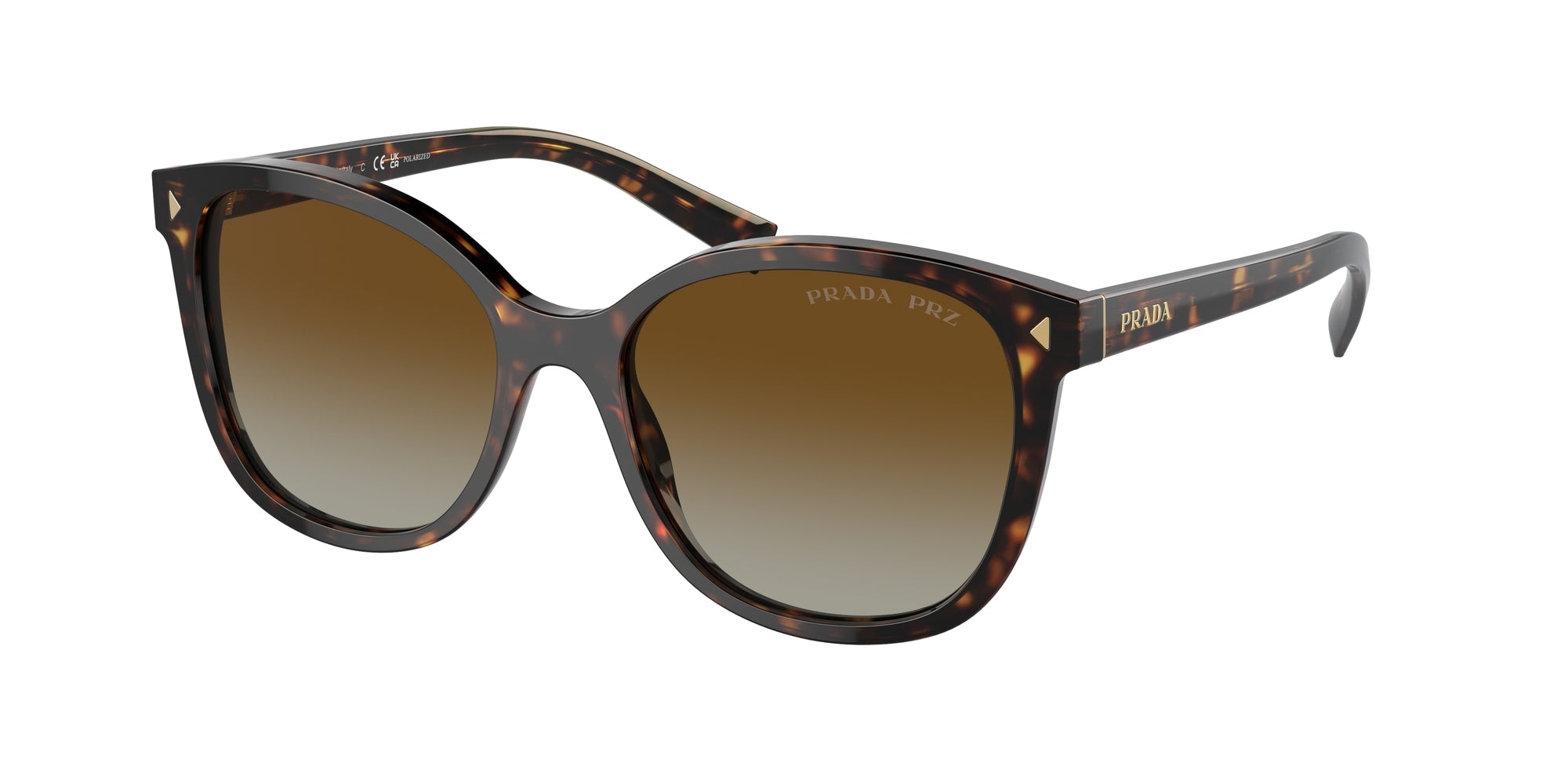 8056597874748 - Damen PR 22ZS  2AU6E1 Gläser SONNENBRILLEN Acetat Schildkröte Braun Quadratisch Polarisiert Schattiert