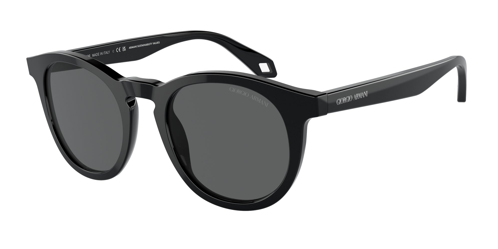 8056597940535 - Herren AR8192  5875B1 Gläser SONNENBRILLEN Acetat Schwarz Grau Panthos Normal