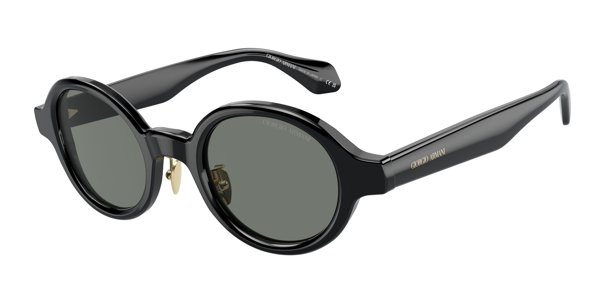 8056597999953 - Herren AR8205  6060 1 Gläser SONNENBRILLEN Acetat Schwarz Grau Rund Normal