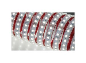 8058052504238 - Nobile Illuminazione - Edle beleuchtung 5 meter led streifen 13w m 6000k 50101 f