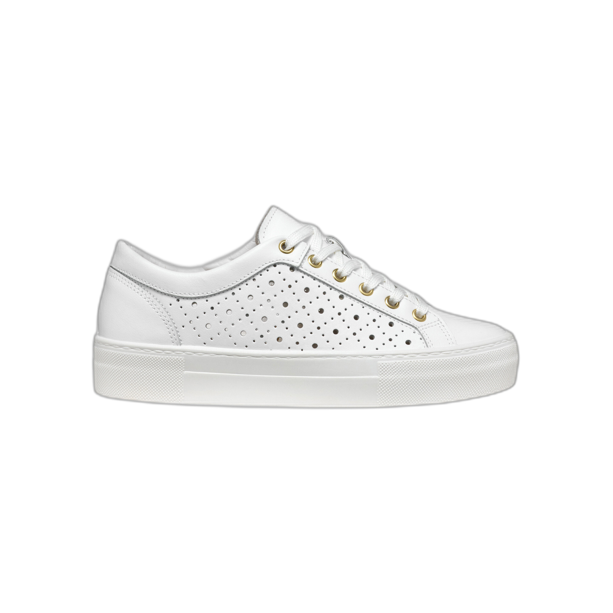 8058192062933 - Sneakers Claudin