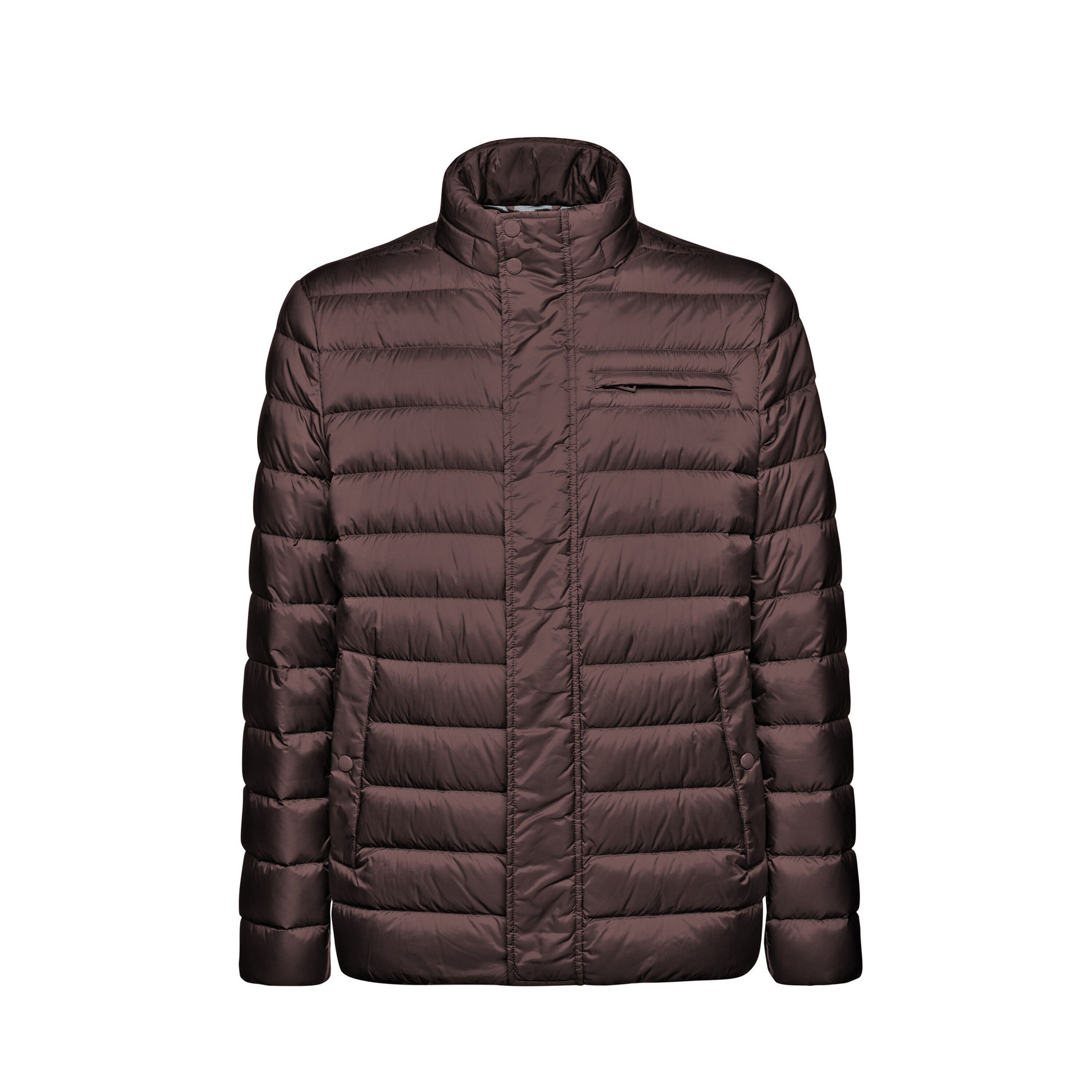 8058192065392 - Daunenjacke Warrens