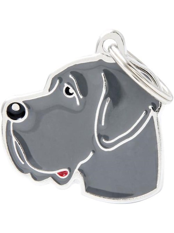 8058773270931 - New Blue great Dane dog tag