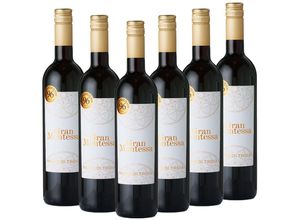 8059020140410 - Gran Montessa Nero di Troia IGT Puglia 2022 trocken 96 LMP - 6er Karton