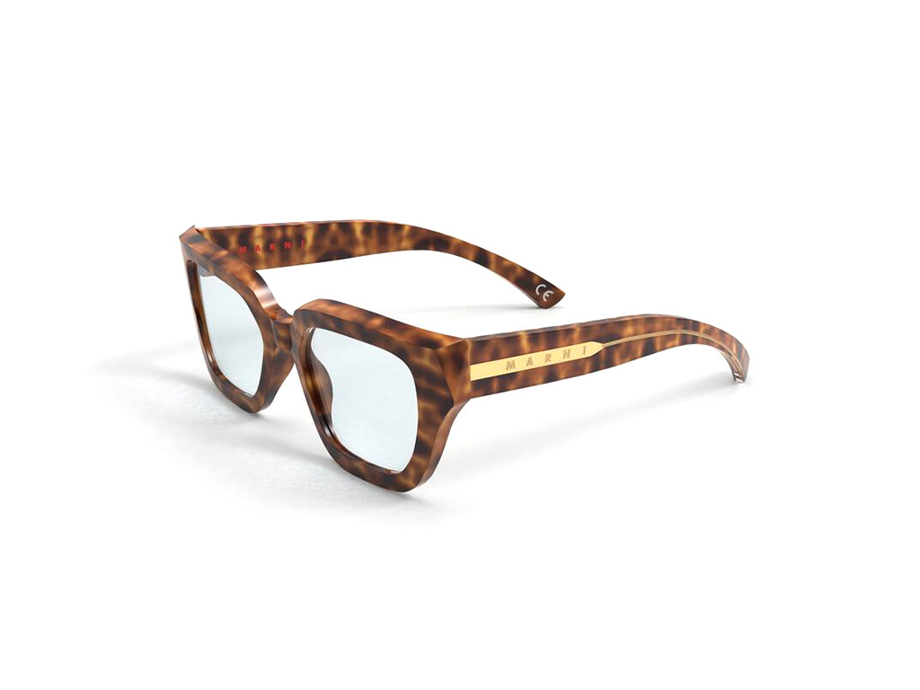 8059026104515 - Unisex Hallerbos Forest Havana 7LL Gläser SONNENBRILLEN Acetat Havanna Klar Quadratisch Normal