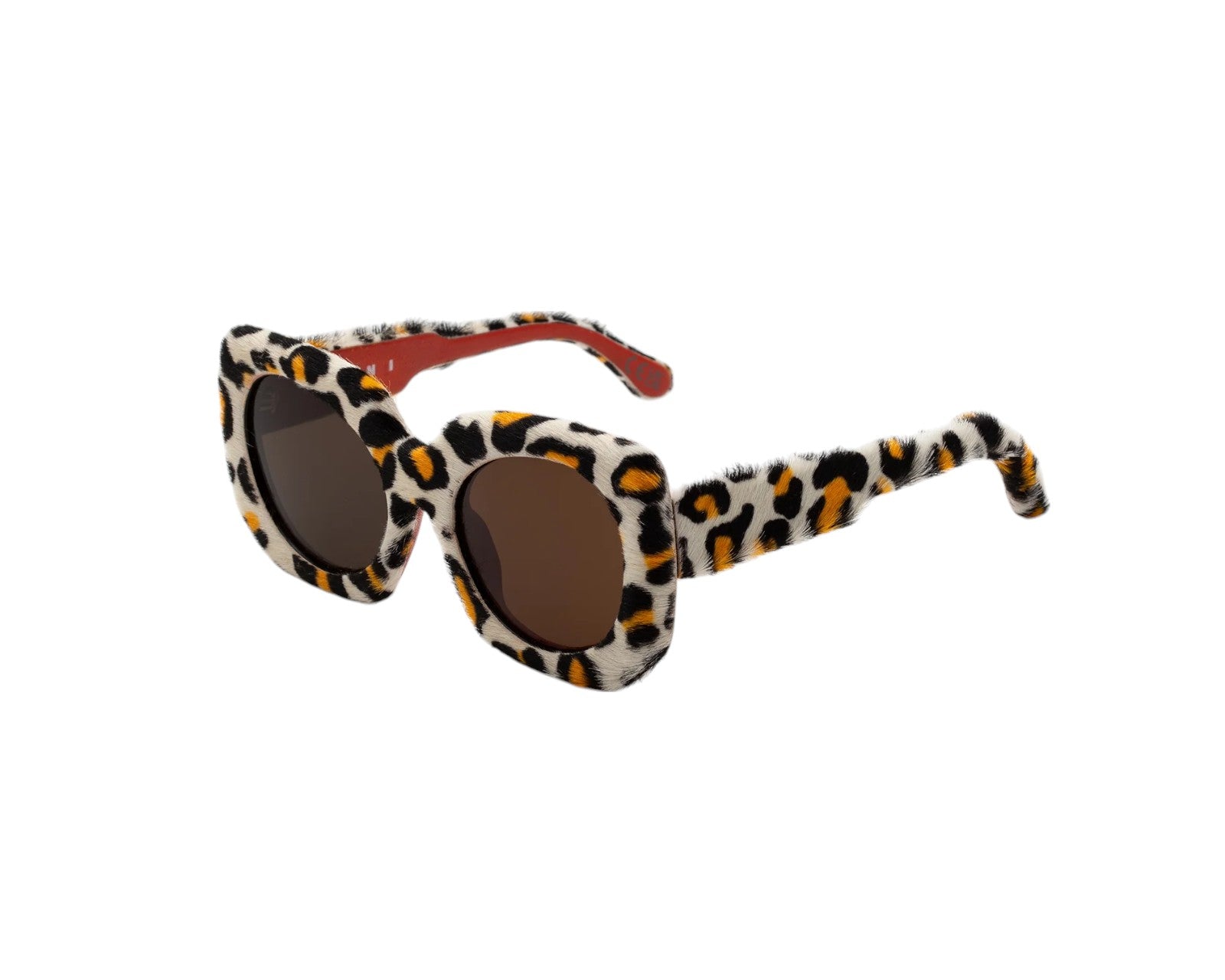 8059026116938 - Unisex Jellyfish Lake Delacouri Leopard 0ZT Gläser SONNENBRILLEN Acetat Leopard Braun Quadratisch Normal