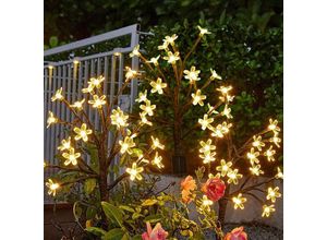 8131003604666 - Aiperq - Solarleuchten für den Garten im Freien 20 LEDs 2 Modi Gartendekoration winterfest wasserdicht für Garten Außenbereich Terrasse