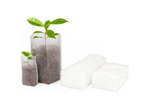 8131010841658 - Petites Ecrevisses - 200 Stück Biologisch Abbaubare Sämlingsbeutel Garten-Anbaubeutel Vlies-Sameneimer - 16x20cm+8x10cm