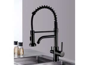 8131010856430 - Petites Ecrevisses - Küchenarmatur 3 Wege Trinkwasser Wasserhahn Küche Mischbatterie 3 in 1 Ausziehbar Spiralfederarmatur aus Messing Schwarz