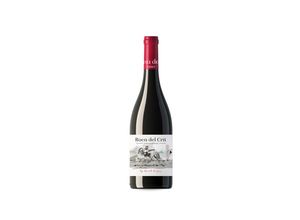 8410036804886 - Gallina de Piel Wines Roca del Crit 2021 - 75cl