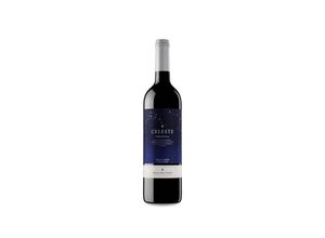 8410113002266 - Pago del Cielo Celeste Crianza Magnum 2019 -