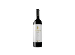 8410113003355 - Torres Atrium Merlot 2021 - 75cl