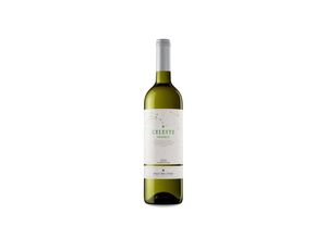 8410113556776 - Familia Torres Torres Celeste Verdejo 2022 - 75cl