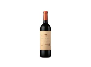 8410487921675 - Palacio Quemado Alvear Palacio Quemado Reserva 2018 - 75cl