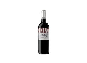 8410631880520 - Taanug Cabernet Merlot Crianza 2021 - 75cl