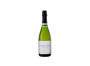 8410644130407 - Els Vinyerons Vins Naturals Els Vinyerons Pregadéu Ancestral 2016 2021 - 75cl