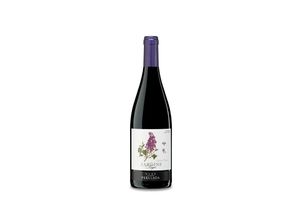 8410743043547 - Perelada Jardins Negre 2022 - 75cl