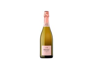 8410743048108 - Cava Privat Brut Nature Rosé 2021 - 75cl