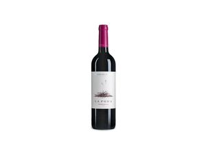 8410849001076 - Viña Mayor La Poda Tempranillo 2020 - 75cl